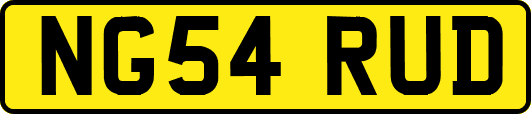 NG54RUD