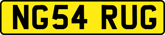 NG54RUG