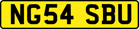 NG54SBU