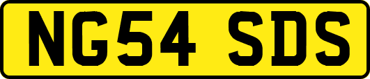 NG54SDS