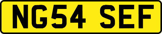 NG54SEF