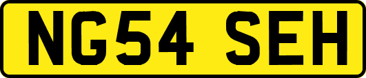 NG54SEH
