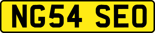 NG54SEO