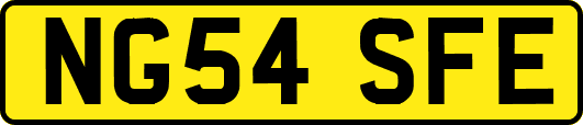 NG54SFE