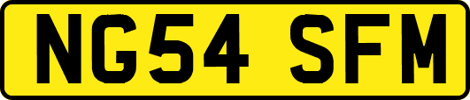 NG54SFM
