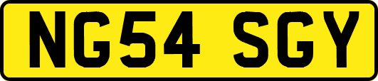 NG54SGY
