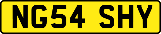 NG54SHY