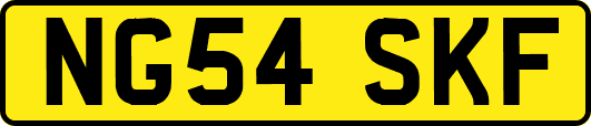 NG54SKF