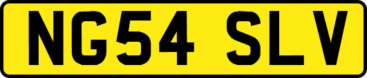 NG54SLV