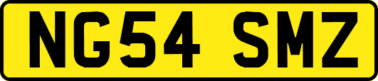 NG54SMZ