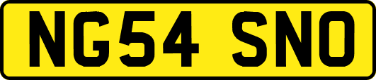 NG54SNO