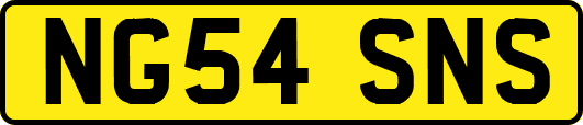 NG54SNS