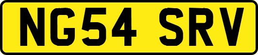 NG54SRV
