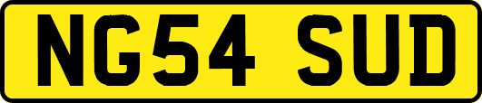 NG54SUD