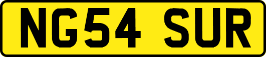 NG54SUR