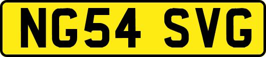 NG54SVG