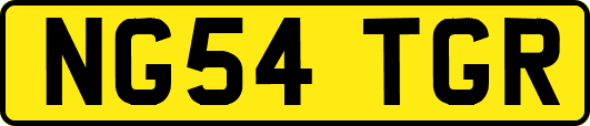 NG54TGR