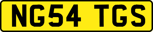 NG54TGS