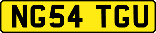 NG54TGU