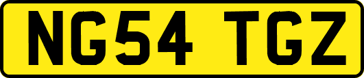 NG54TGZ