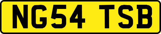 NG54TSB