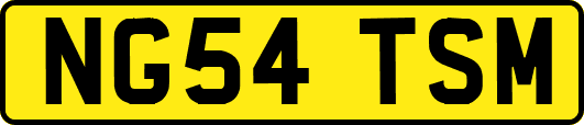NG54TSM