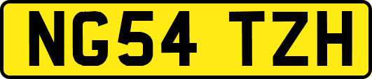 NG54TZH