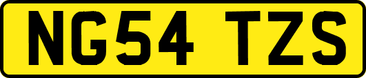 NG54TZS