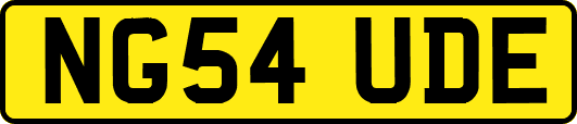 NG54UDE