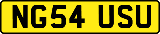 NG54USU