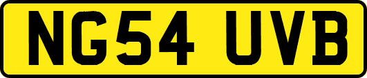 NG54UVB