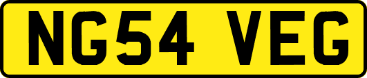 NG54VEG