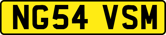 NG54VSM
