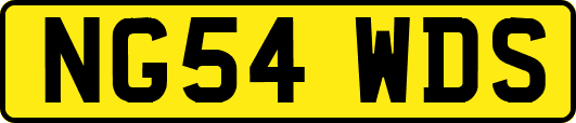 NG54WDS