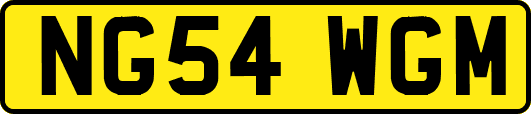 NG54WGM