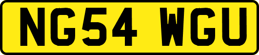 NG54WGU