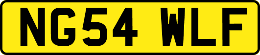 NG54WLF