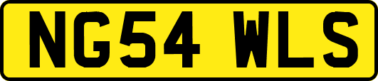 NG54WLS