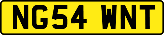 NG54WNT