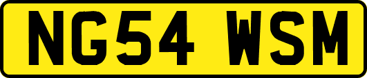 NG54WSM