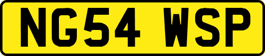 NG54WSP