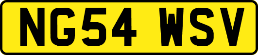 NG54WSV