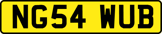 NG54WUB