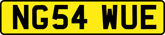 NG54WUE
