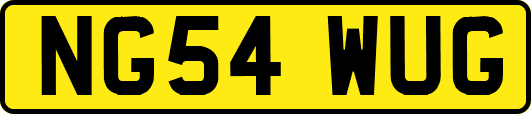 NG54WUG