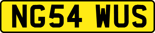 NG54WUS