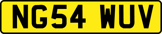 NG54WUV
