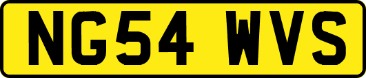 NG54WVS