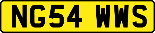 NG54WWS