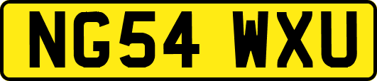 NG54WXU